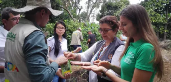 Cali, agricultura urbana para seguridad alimentaria 